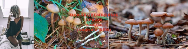 соль ск Арсеньев