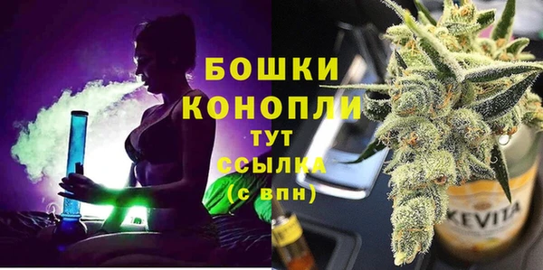соль ск Арсеньев