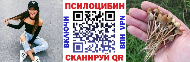 Псилоцибиновые грибы мухоморы  Купить закладки  Пучеж 